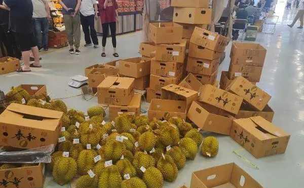 榴莲价格下跌 一天开几百个榴莲工具都累了