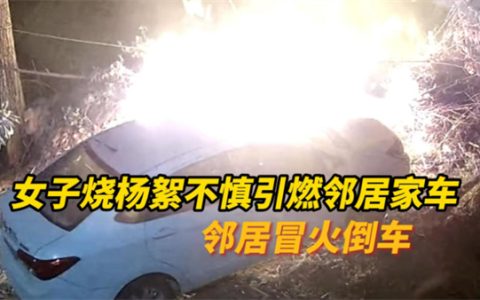 惊险一幕 女子烧杨絮不慎引燃邻居家车