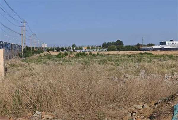 淄博回应村征地补偿款被理财