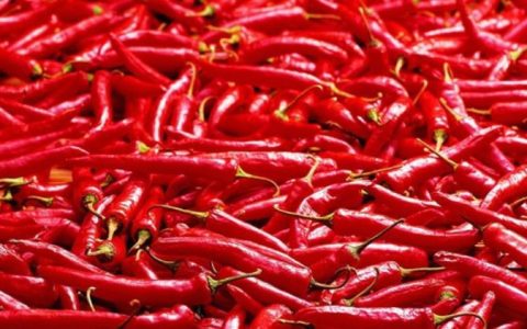 美国14岁少年挑战最辣玉米片被辣死 心肺功能停止而死亡