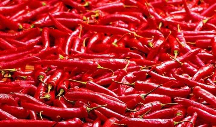 美国14岁少年挑战最辣玉米片被辣死 心肺功能停止而死亡