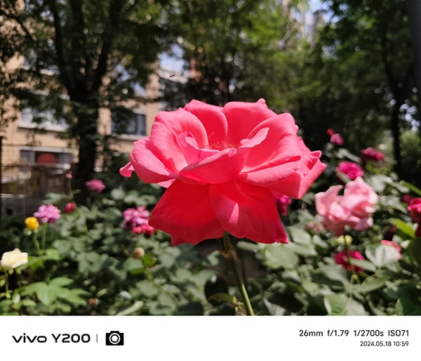 vivo Y200怎么样 vivo Y200体验评测插图20