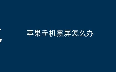 苹果手机黑屏怎么办