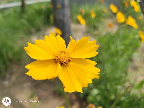 moto X50 Ultra怎么样 moto X50 Ultra深度体验评测插图14