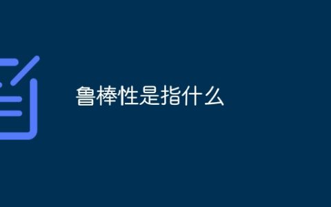 鲁棒性是指什么