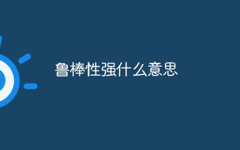 鲁棒性强什么意思