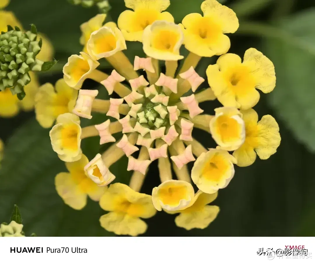 到底“飘”了吗？华为Pura 70 Ultra手机影像初体验