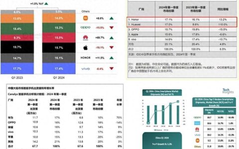 只有小米、苹果不配，华为、荣耀、OPPO、VIVO，都是中国第一？