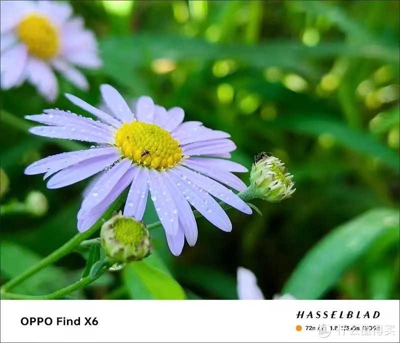 OPPO也开始清仓了：跌价1485元，520送女生好礼物