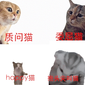 两只猫meme视频全网爆火!到底对年轻人有什么魔力插图 两只猫meme视频全网爆火!到底对年轻人有什么魔力
