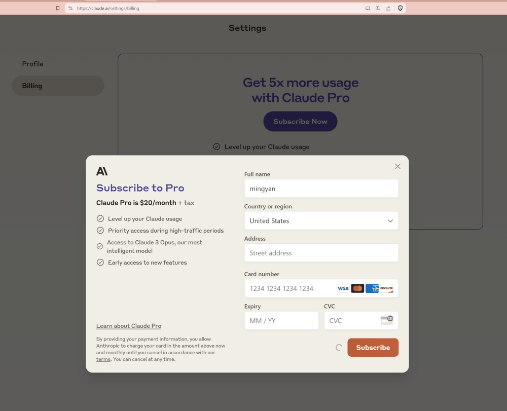 Claude Pro 订阅填写 WildCard 借记卡信息