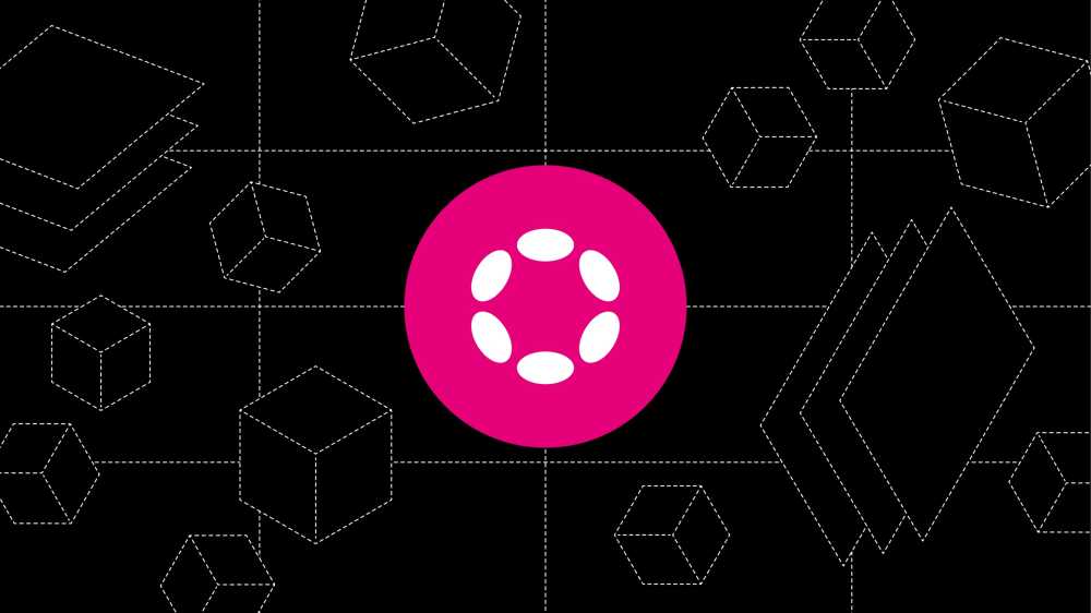 波卡地址是什么