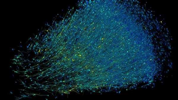 谷歌哈佛联合精细描绘百万分之一人脑!数据高达1400TB插图 谷歌哈佛联合精细描绘百万分之一人脑!数据高达1400TB