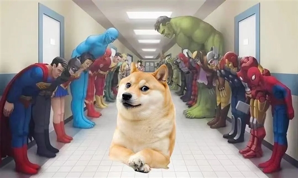 全世界最著名的狗狗 去世了插图10 全世界最著名的狗狗 去世了