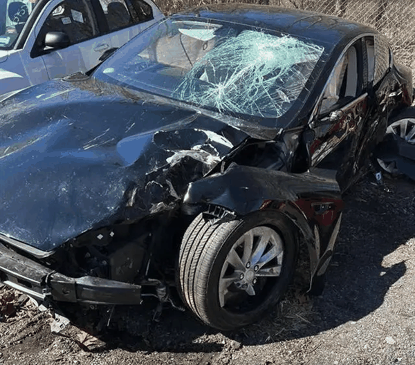 比亚迪也来卖车险了 能把保险价格打下来吗