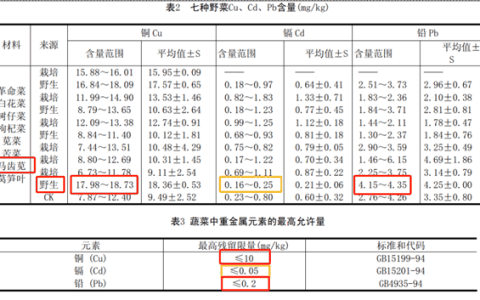 维生素C 16倍于西梅、蛋白质7.7倍于冬瓜：这种“长寿菜”现在吃正好