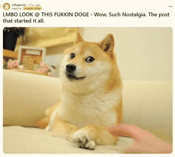 全世界最著名的狗狗 去世了插图4 全世界最著名的狗狗 去世了