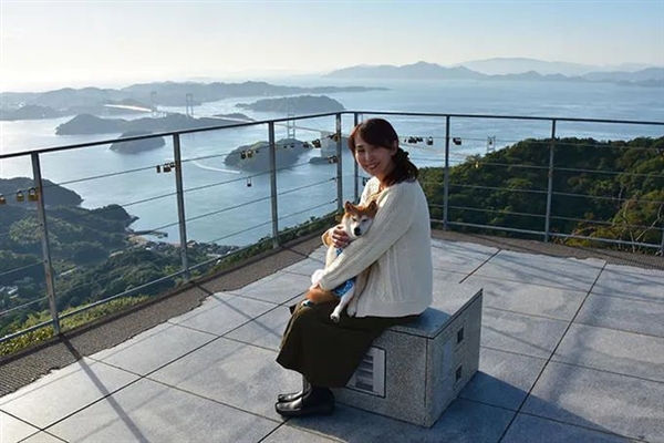 全世界最著名的狗狗 去世了插图2 全世界最著名的狗狗 去世了