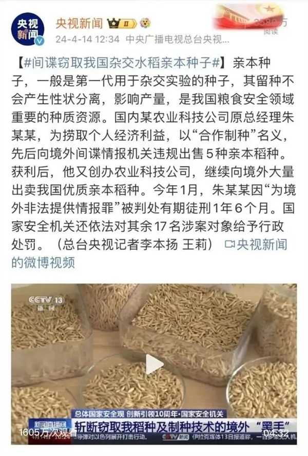 间谍窃取我国杂交水稻种子 后果有多严重插图 间谍窃取我国杂交水稻种子 后果有多严重