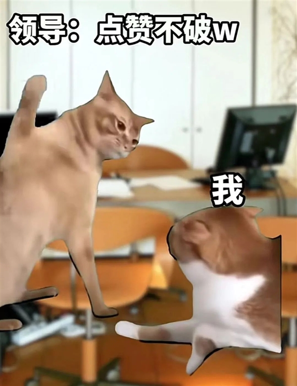 两只猫meme视频全网爆火!到底对年轻人有什么魔力插图1 两只猫meme视频全网爆火!到底对年轻人有什么魔力