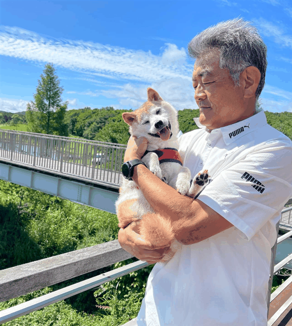 全世界最著名的狗狗 去世了插图19 全世界最著名的狗狗 去世了