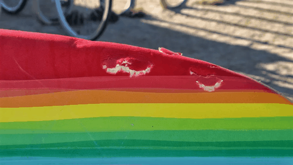 加州海獭频繁偷抢冲浪板:原来是怀孕导致性情大变插图1 加州海獭频繁偷抢冲浪板:原来是怀孕导致性情大变