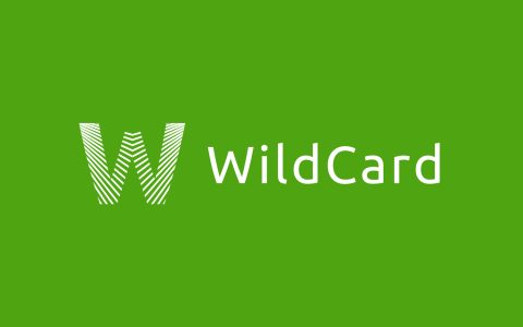 WildCard借记卡怎么收费