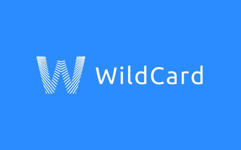 WildCard借记卡是什么