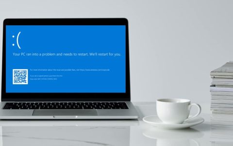 Win11蓝屏死循环怎么解决