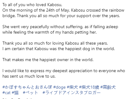 全世界最著名的狗狗 去世了插图22 全世界最著名的狗狗 去世了