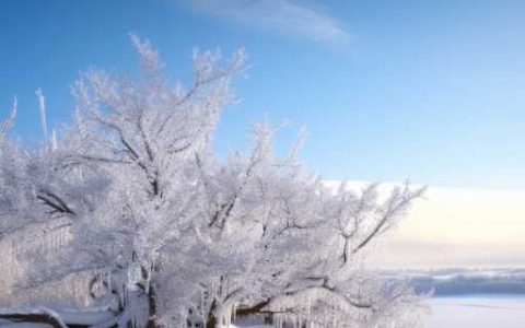 极地气候是什么意思 极地气候特点