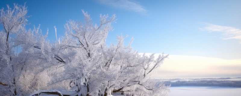 极地气候是什么意思 极地气候特点