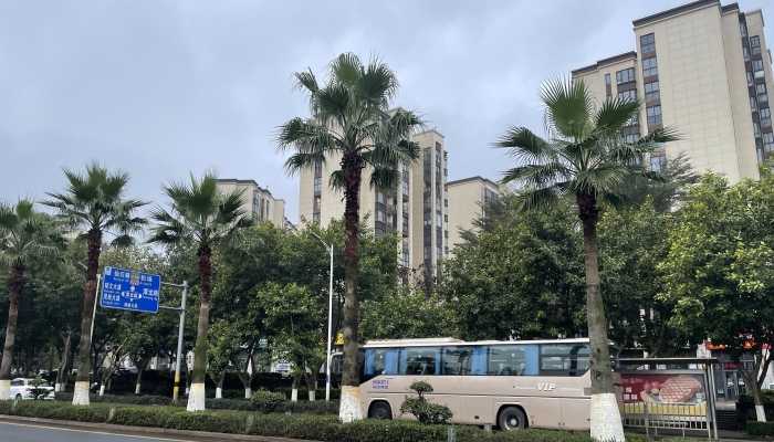 天量水汽涌入南方 北方多地气温创新高插图 天量水汽涌入南方 北方多地气温创新高