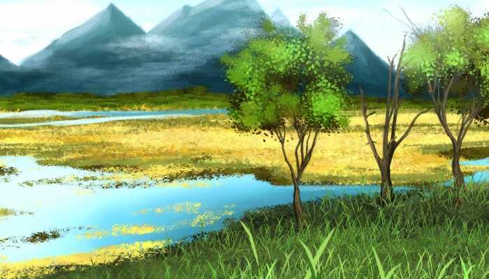 湿地退化是什么意思 湿地退化的危害和治理措施