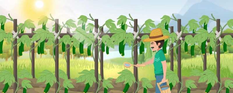 云南广西等地多降雨 西北地区大风和沙尘天气仍将持续插图 云南广西等地多降雨 西北地区大风和沙尘天气仍将持续