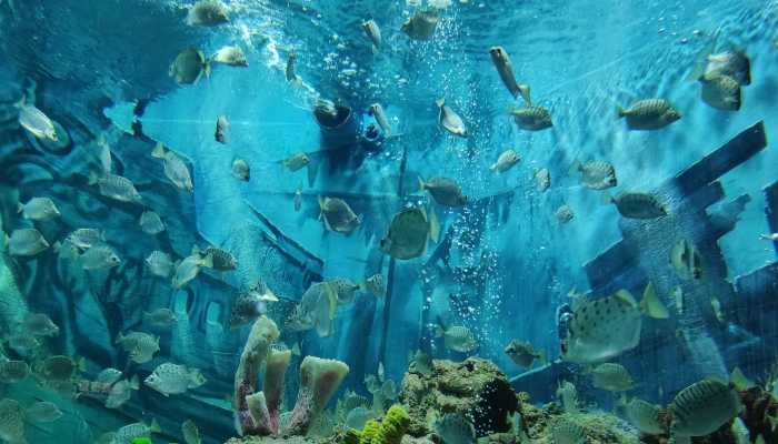 资源开发利用变化趋势 资源开发利用的基本要求有哪些