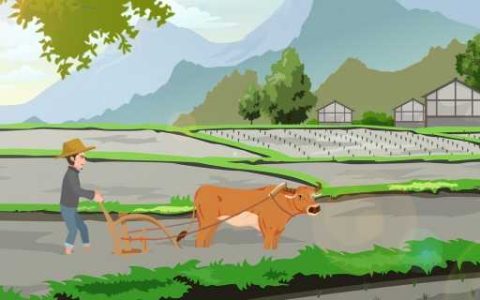 中国土地资源的开发潜力 中国土地资源有哪些特点