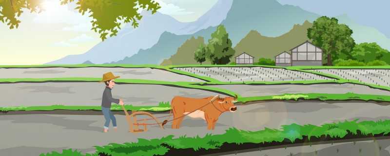 中国土地资源的开发潜力 中国土地资源有哪些特点插图 中国土地资源的开发潜力 中国土地资源有哪些特点