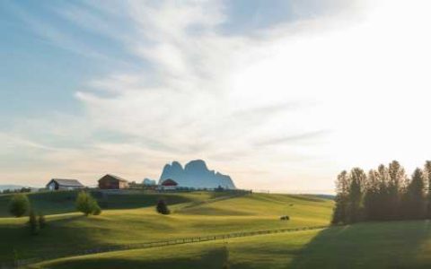 中国草地资源的生产潜力 我国草坪业发展中存在的问题