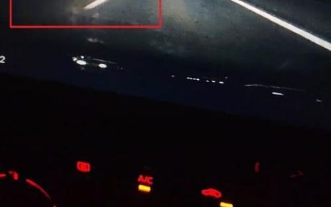 离谱！男子在高速逆行从河北开到山东 还强开远光灯：官方回应