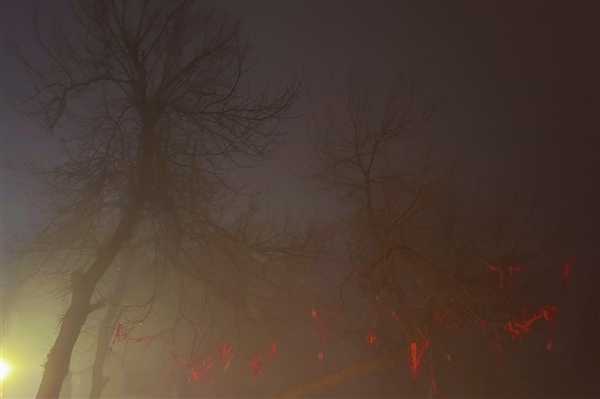 恐怖片既视感!女子称坐张家界最后一班缆车差点被吓晕插图2 恐怖片既视感!女子称坐张家界最后一班缆车差点被吓晕