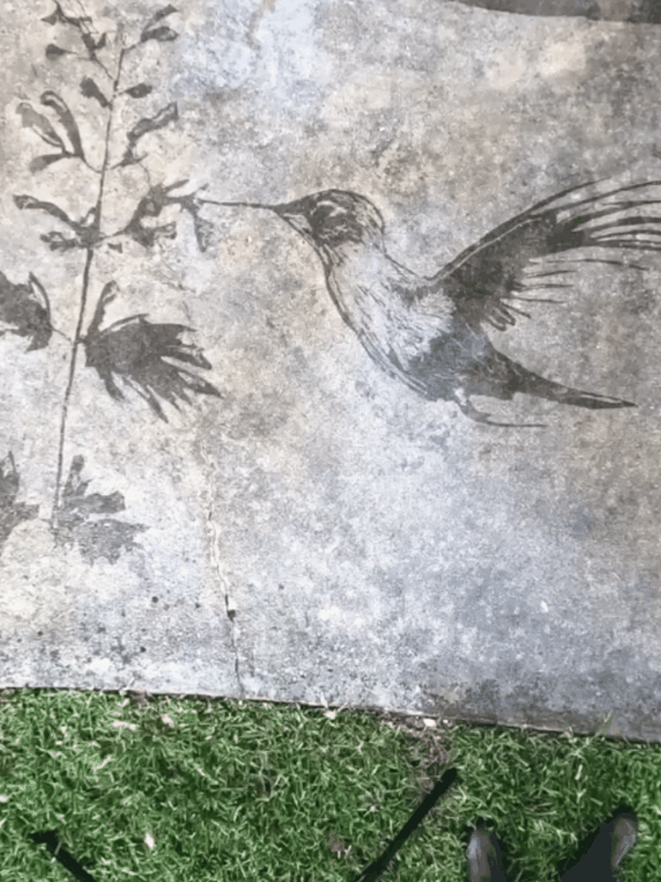 洗地最成功的一集！强迫症看了又爽又难受