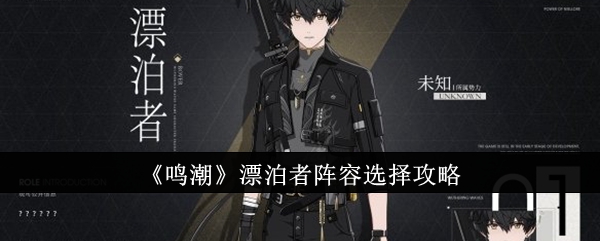 《鸣潮》漂泊者阵容选择攻略插图 《鸣潮》漂泊者阵容选择攻略