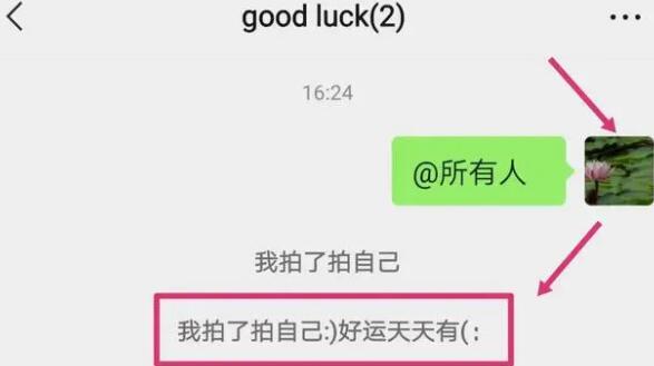 微信拍一拍文字怎么设置 拍一拍文字设置方法插图4 微信拍一拍文字怎么设置 拍一拍文字设置方法