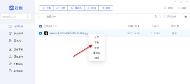 123云盘怎么下载文件 下载文件的操作方法插图2 123云盘怎么下载文件 下载文件的操作方法