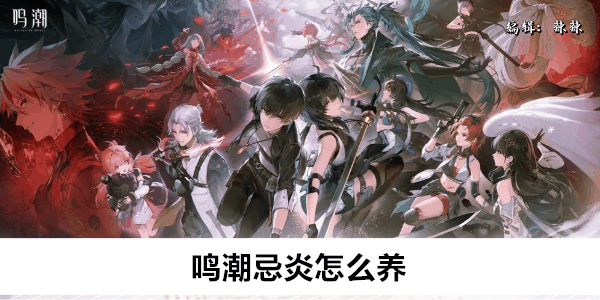 《鸣潮》忌炎怎么养