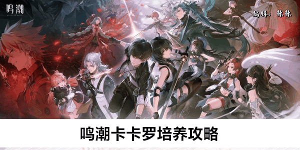 《鸣潮》卡卡罗培养攻略