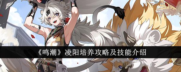 鸣潮凌阳怎么培养 鸣潮凌阳培养攻略插图 鸣潮凌阳怎么培养 鸣潮凌阳培养攻略