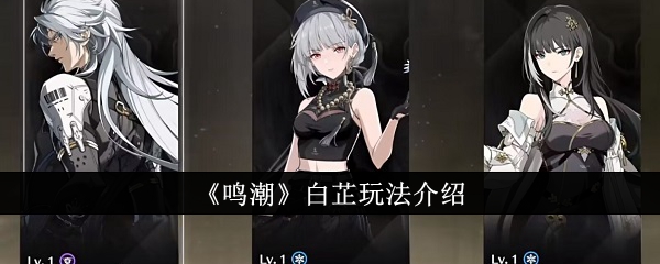 《鸣潮》白芷玩法介绍插图 《鸣潮》白芷玩法介绍