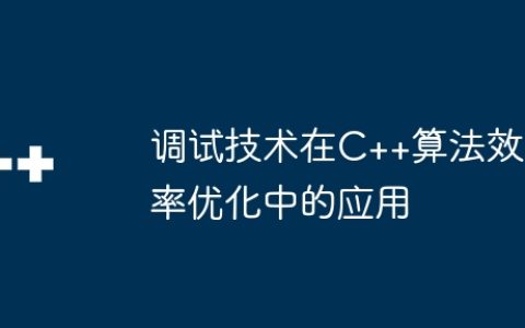 调试技术在C++算法效率优化中的应用